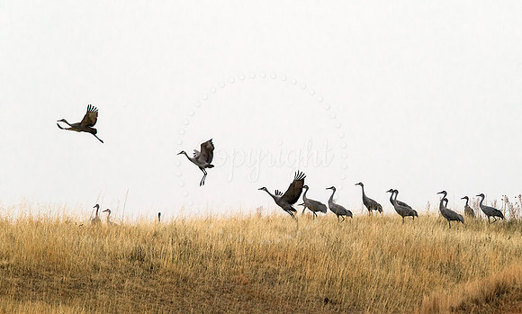 Takeoff