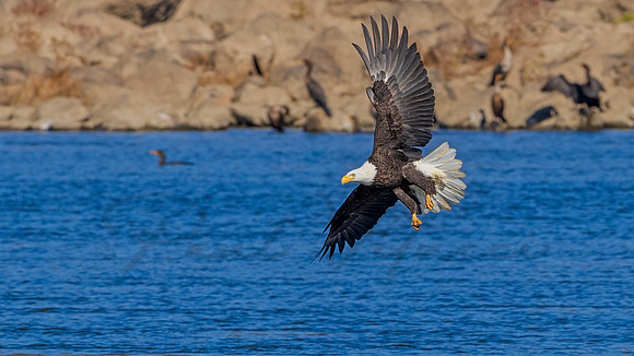 Final Approach