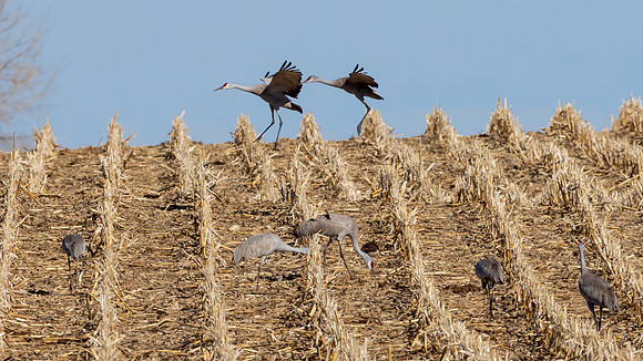 Hilltop Landing