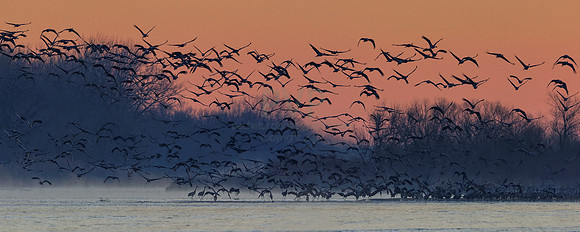 First Light, Platte River