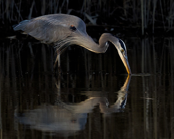 Reflection Kiss
