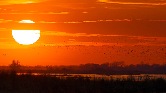 Nebraska Sunset