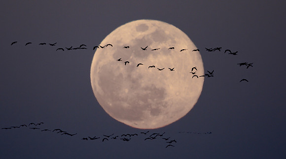 Sandhills Moon